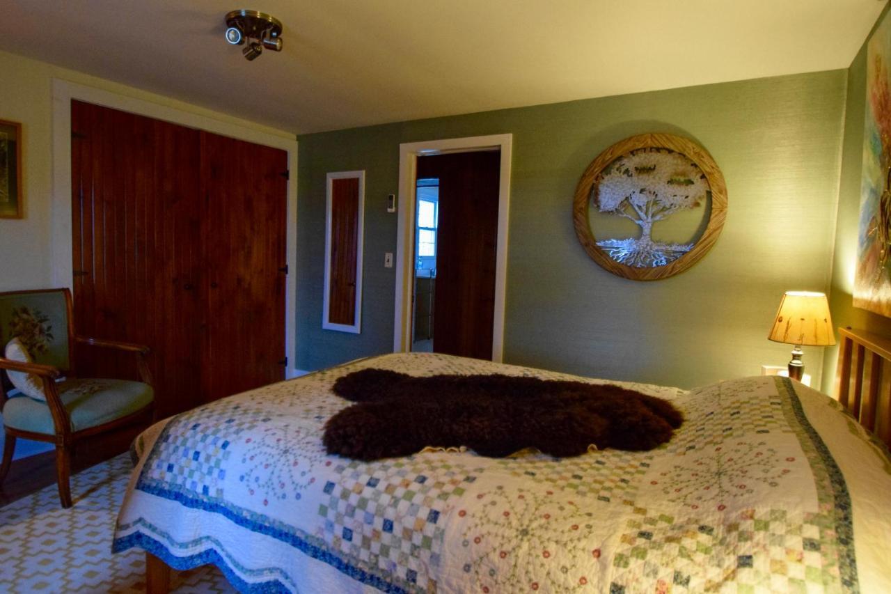 Enfield Manor Bed&Breakfast And Vacation Rental Newfield Eksteriør billede