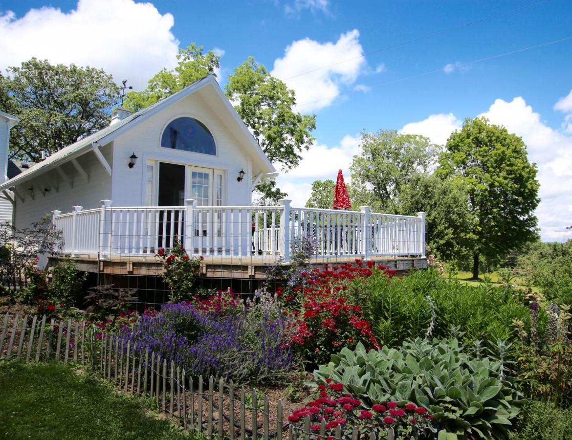 Enfield Manor Bed&Breakfast And Vacation Rental Newfield Eksteriør billede