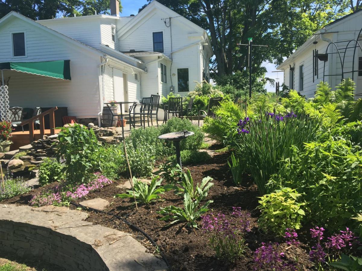 Enfield Manor Bed&Breakfast And Vacation Rental Newfield Eksteriør billede